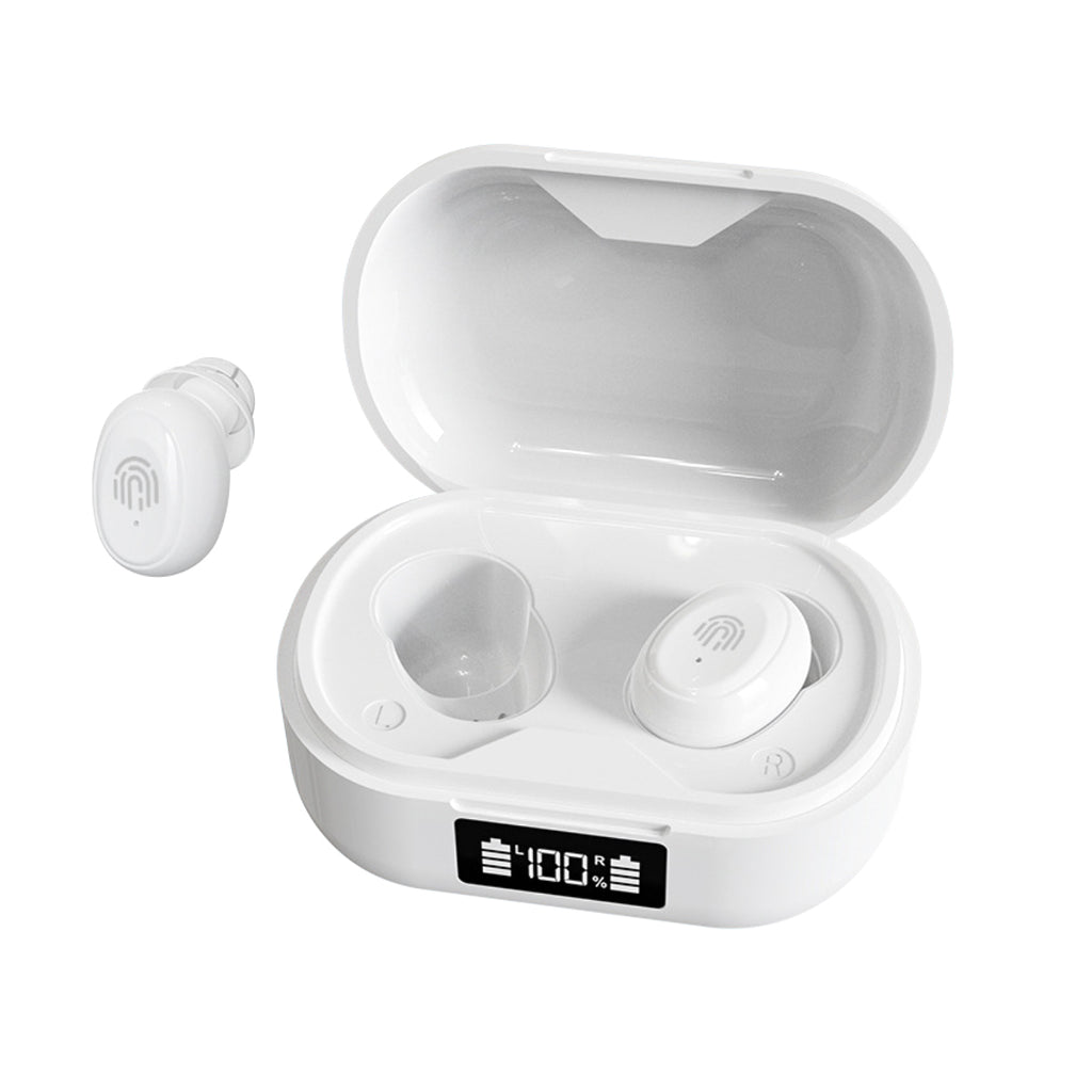 Flocolor TS511 OTC Hearing Aids